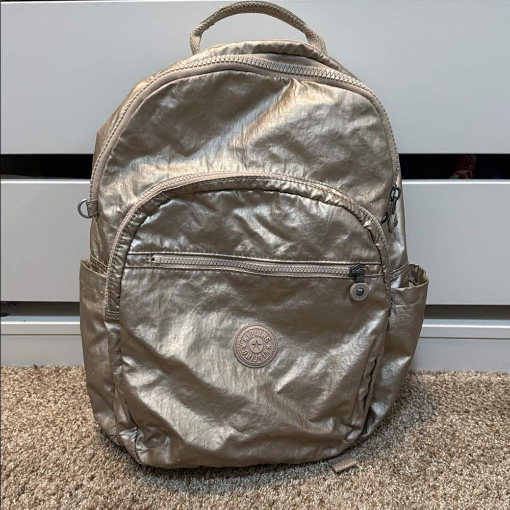 Metallic Backpack